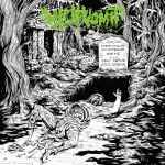 WITCH VOMIT - The Webs of Horror Re-Release MCD